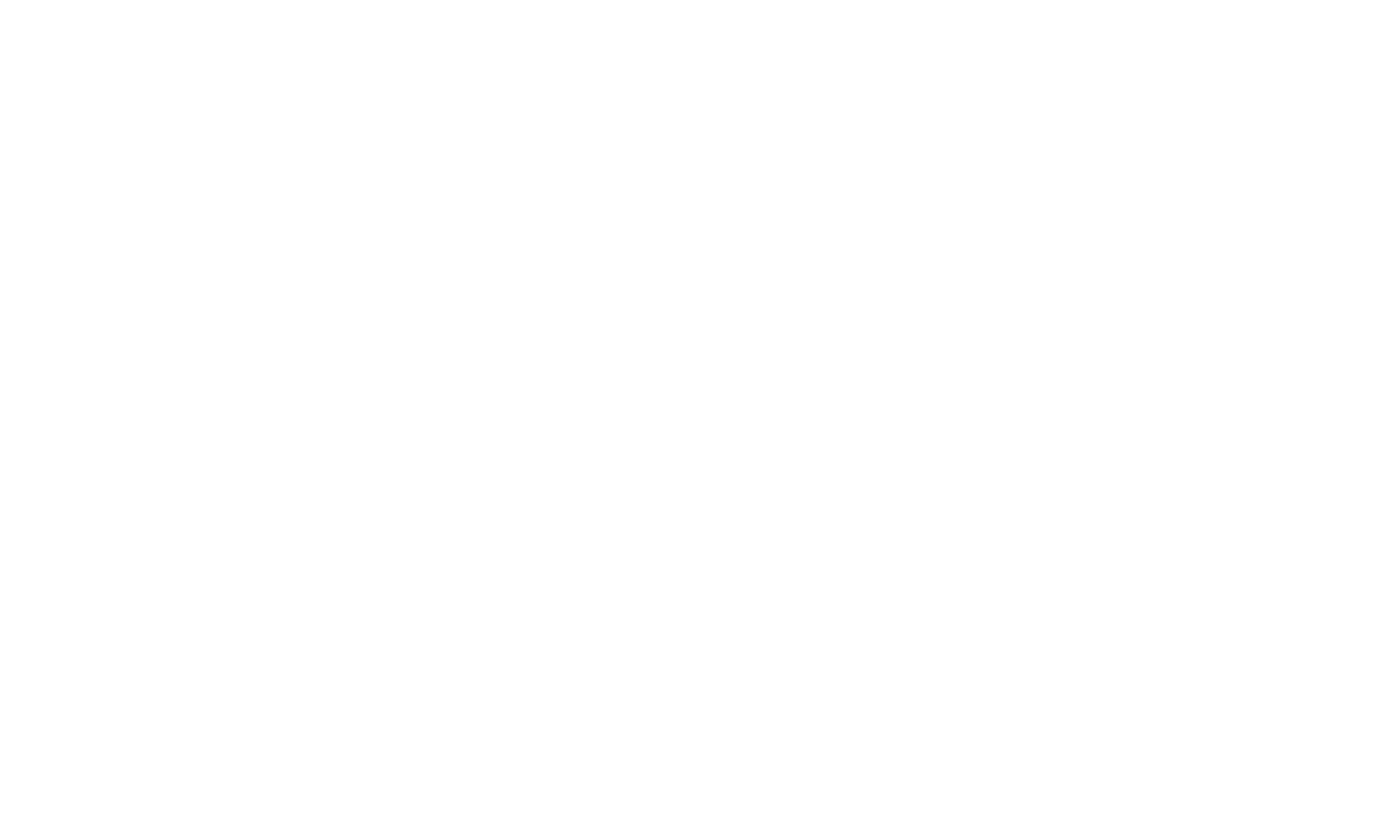 Logo mindly white